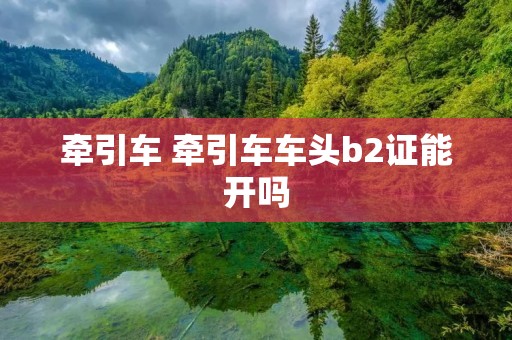 牵引车 牵引车车头b2证能开吗