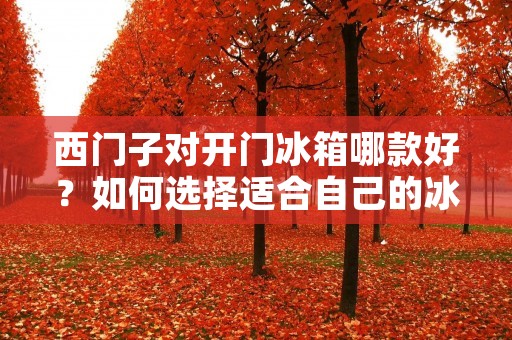 西门子对开门冰箱哪款好？如何选择适合自己的冰箱？