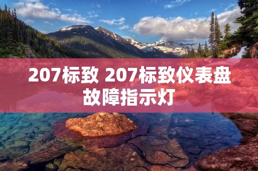 207标致 207标致仪表盘故障指示灯 207标致 207标致仪表盘故障指示灯