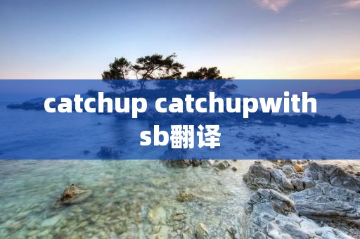 catchup catchupwithsb翻译