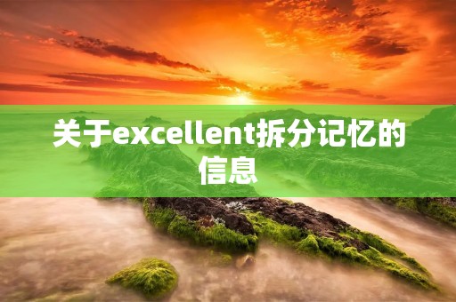 关于excellent拆分记忆的信息