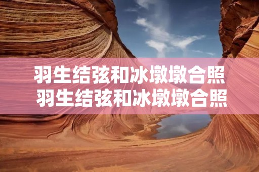 羽生结弦和冰墩墩合照 羽生结弦和冰墩墩合照高清