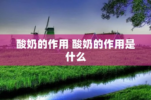 酸奶的作用 酸奶的作用是什么