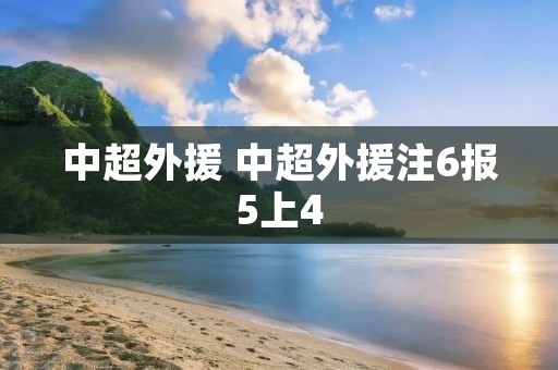 中超外援 中超外援注6报5上4 中超外援 中超外援注6报5上4