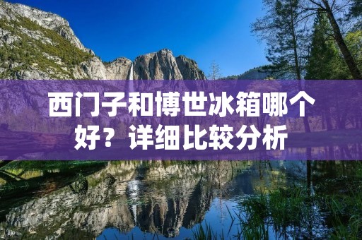 西门子和博世冰箱哪个好?详细比较分析 西门子和博世冰箱哪个好?详细比较分析