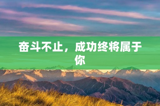 奋斗不止，成功终将属于你
