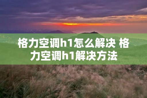 格力空调h1怎么解决 格力空调h1解决方法 格力空调h1怎么解决 格力空调h1解决方法