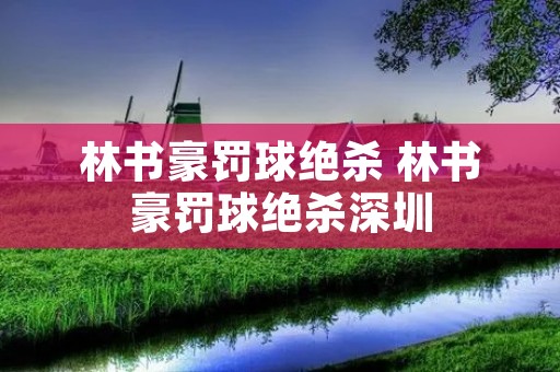 林书豪罚球绝杀 林书豪罚球绝杀深圳 林书豪罚球绝杀 林书豪罚球绝杀深圳