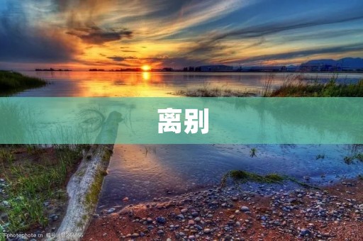 离别：穿越时空的心灵之旅