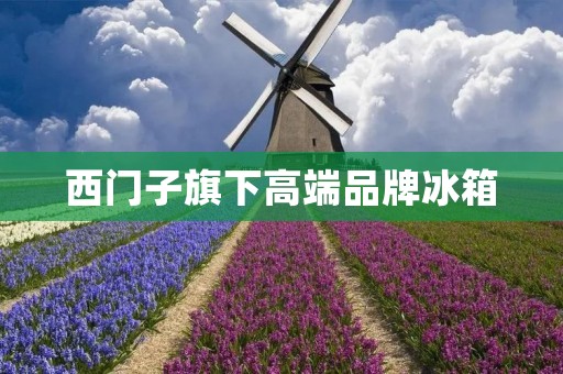 西门子旗下高端品牌冰箱：品质与创新的完美结合
