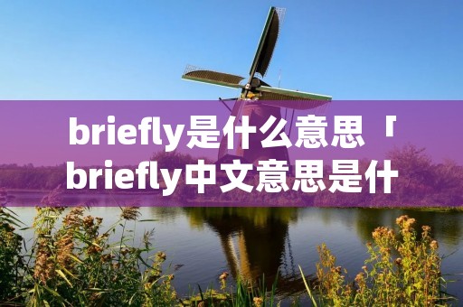 briefly是什么意思「briefly中文意思是什么」