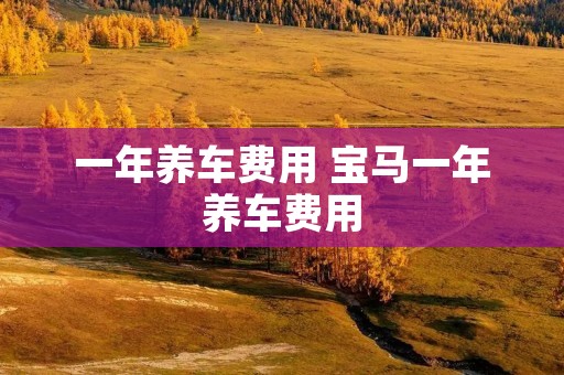 一年养车费用 宝马一年养车费用
