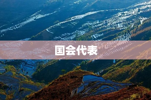 国会代表：权力与责任