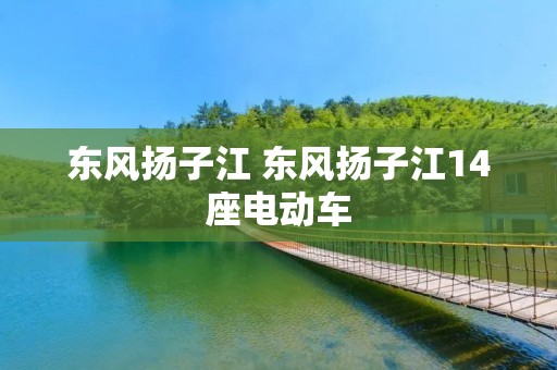 东风扬子江 东风扬子江14座电动车 东风扬子江 东风扬子江14座电动车