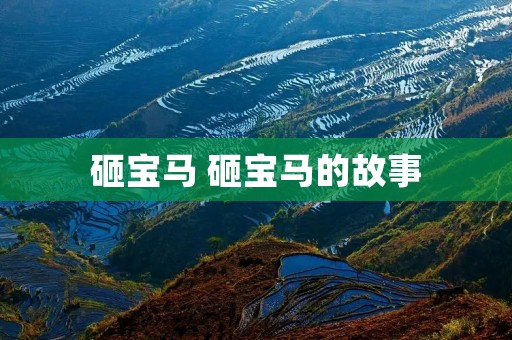 砸宝马 砸宝马的故事