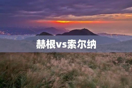 赫根vs索尔纳:一场激烈的对决 赫根vs索尔纳:一场激烈的对决
