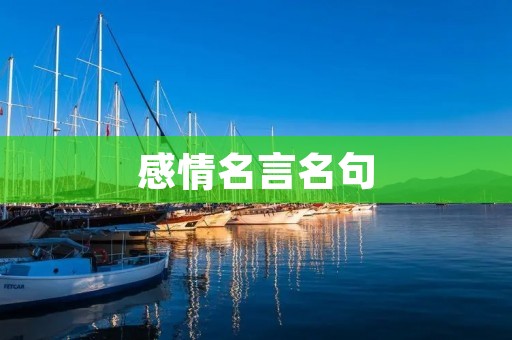 感情名言名句:探寻人类情感的智慧之光 感情名言名句:探寻人类情感的智慧之光
