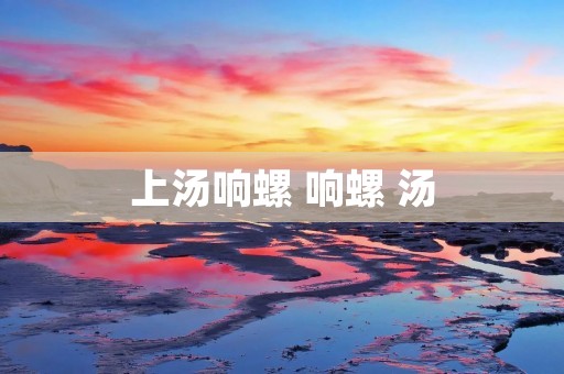 上汤响螺 响螺 汤