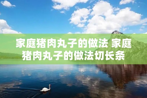 家庭猪肉丸子的做法 家庭猪肉丸子的做法切长条