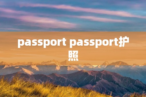passport passport护照