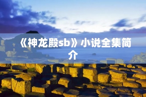 《神龙殿sb》小说全集简介