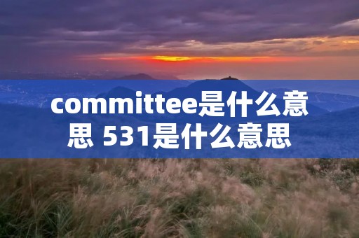 committee是什么意思 531是什么意思