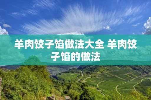 羊肉饺子馅做法大全 羊肉饺孑馅的做法