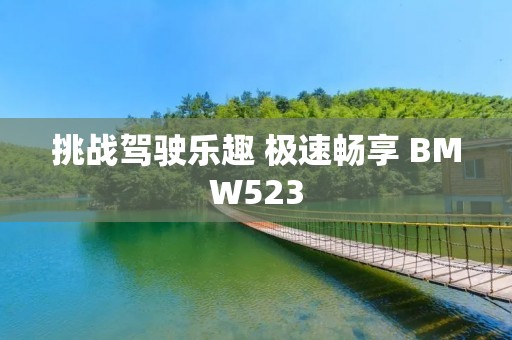 挑战驾驶乐趣 极速畅享 BMW523 挑战驾驶乐趣 极速畅享 BMW523