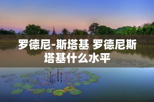 罗德尼-斯塔基 罗德尼斯塔基什么水平