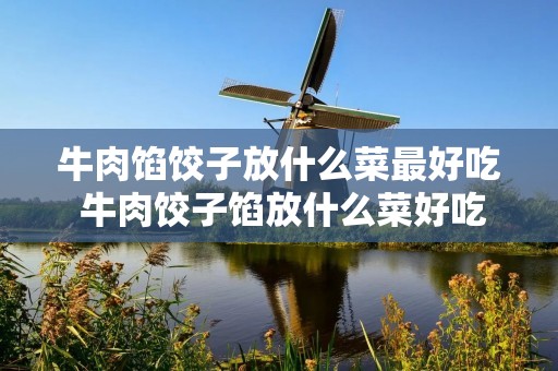 牛肉馅饺子放什么菜最好吃 牛肉饺子馅放什么菜好吃的做法