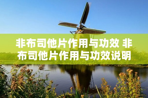 非布司他片作用与功效 非布司他片作用与功效说明书 非布司他片作用与功效 非布司他片作用与功效说明书