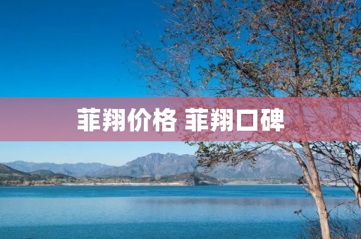 菲翔价格 菲翔口碑