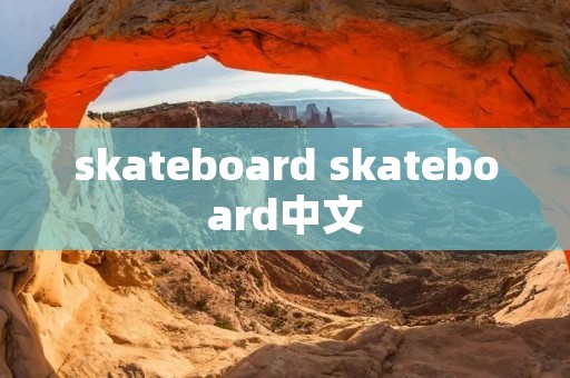 skateboard skateboard中文