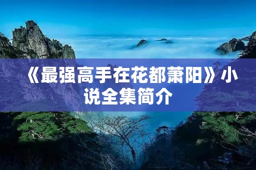 《最强高手在花都萧阳》小说全集简介