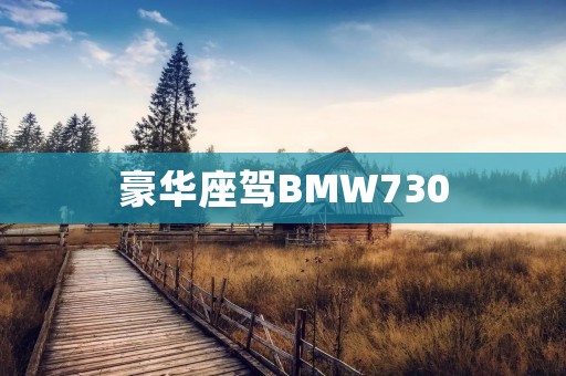 豪华座驾BMW730：奢华与性能的完美结合