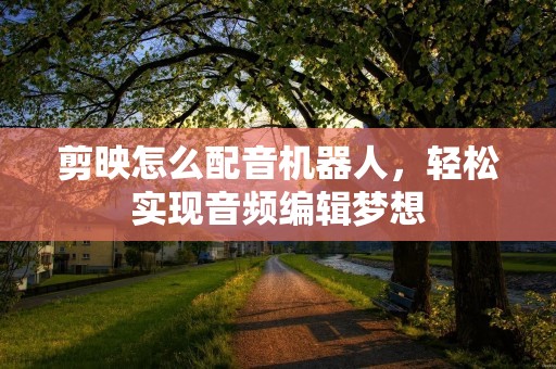 剪映怎么配音机器人，轻松实现音频编辑梦想