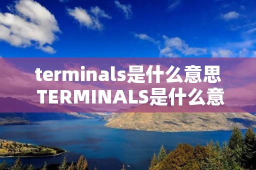 terminals是什么意思 TERMINALS是什么意思啊