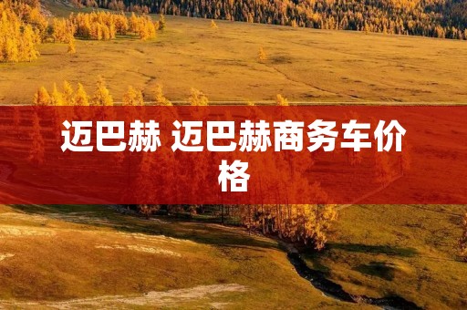 迈巴赫 迈巴赫商务车价格