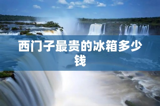 西门子最贵的冰箱多少钱
