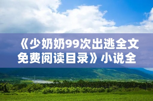 《少奶奶99次出逃全文免费阅读目录》小说全集简介