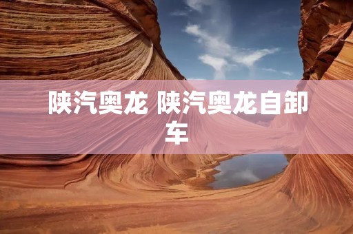 陕汽奥龙 陕汽奥龙自卸车