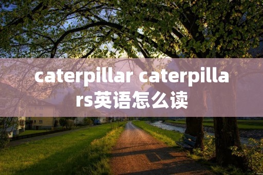 caterpillar caterpillars英语怎么读 caterpillar caterpillars英语怎么读