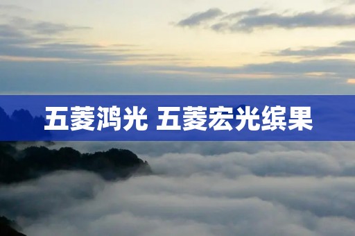 五菱鸿光 五菱宏光缤果