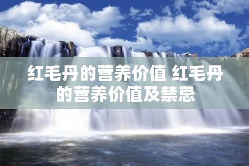 红毛丹的营养价值 红毛丹的营养价值及禁忌