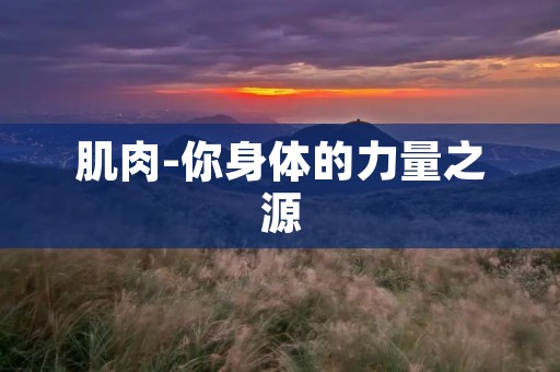 肌肉-你身体的力量之源