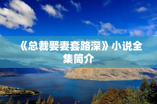 《总裁娶妻套路深》小说全集简介