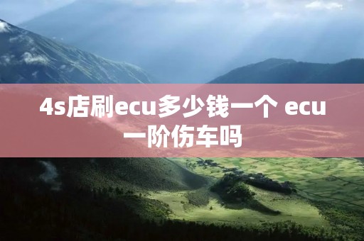 4s店刷ecu多少钱一个 ecu一阶伤车吗