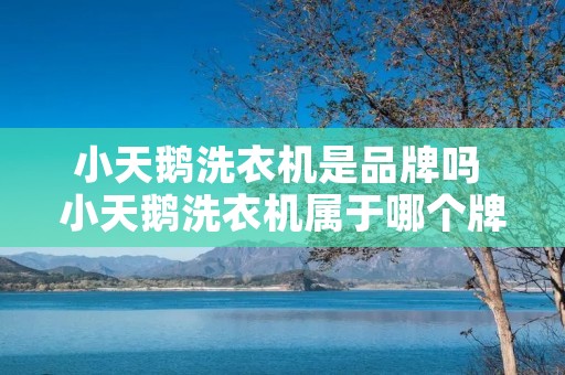 小天鹅洗衣机是品牌吗 小天鹅洗衣机属于哪个牌子 小天鹅洗衣机是品牌吗 小天鹅洗衣机属于哪个牌子