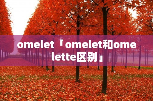 omelet「omelet和omelette区别」 omelet「omelet和omelette区别」
