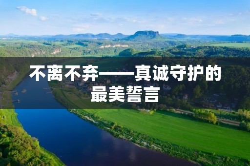 不离不弃——真诚守护的最美誓言 不离不弃——真诚守护的最美誓言